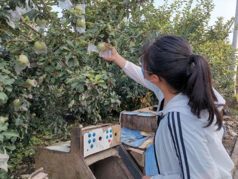 农民|河南学子三下乡：深入农民生活，助力脱贫工作