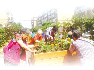 |党建引领治理 社区焕发生机（深度关注·党建引领基层治理②）