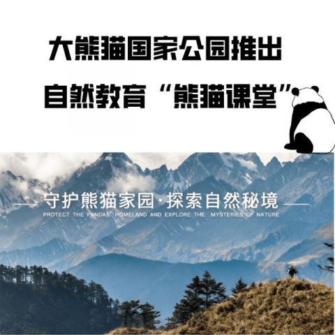 大熊猫|大熊猫国家公园推出自然教育“熊猫课堂”