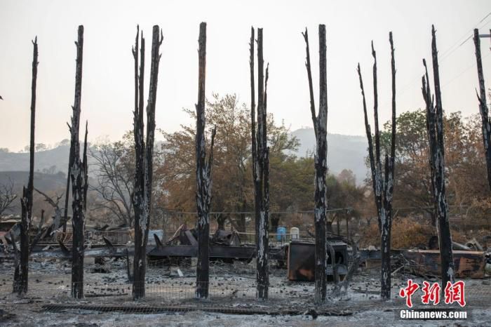 美国加州|燃烧近半个月 美国加州三场山火有望完全受控