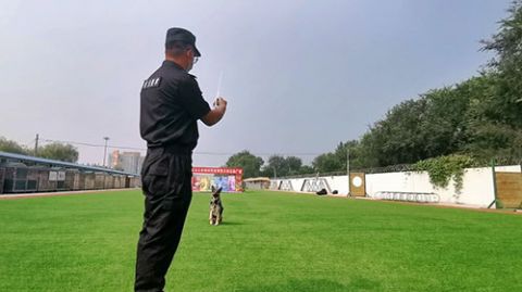 警犬|手指一动就能“遥控”警犬，只因多戴了这个小挂件