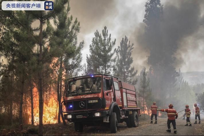 |葡萄牙山火火势已被控制 烧毁面积预计达6000公顷