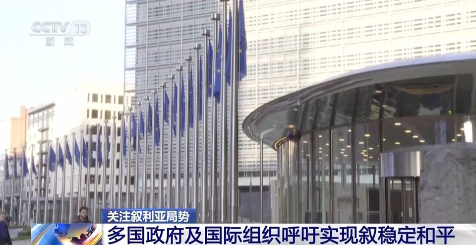 多国政府及国际组织呼吁实现叙利亚稳定和平