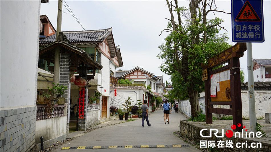 【壮丽70年·奋斗新时代】布衣村寨井水甘 美丽乡村生活甜大河网