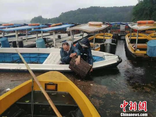 清理湖面垃圾。 杭州市西湖水域管理处供图 摄 清理湖面垃圾。 杭州市西湖水域管理处供图 摄