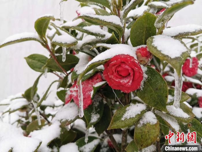 『杭州气温』杭州气温跳水“由夏入冬” 部分山区迎“春雪”