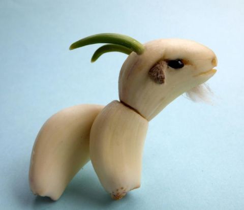 蔬菜|丝瓜熊猫、菜叶鸵鸟……河南这位买菜大爷用蔬菜创造了“动物世界”