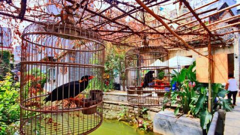 建筑广东一古村，被称为“南方周庄”，艺术气息浓厚，现为热门打卡地