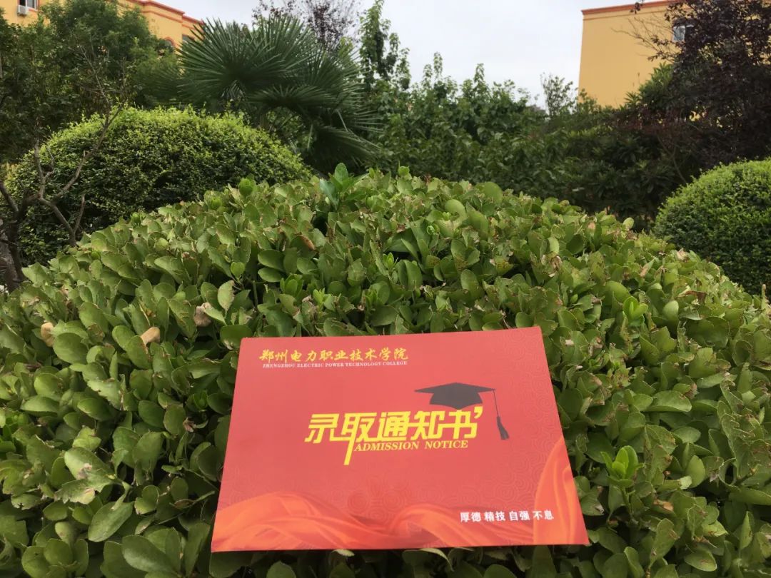 邢台医学高等专科学院分数线_邢台医专专科分数线_2024年邢台医学高等专科学校录取分数线及要求