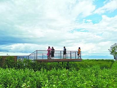 抚仙湖|青山间的抚仙湖，生态好了水也美了