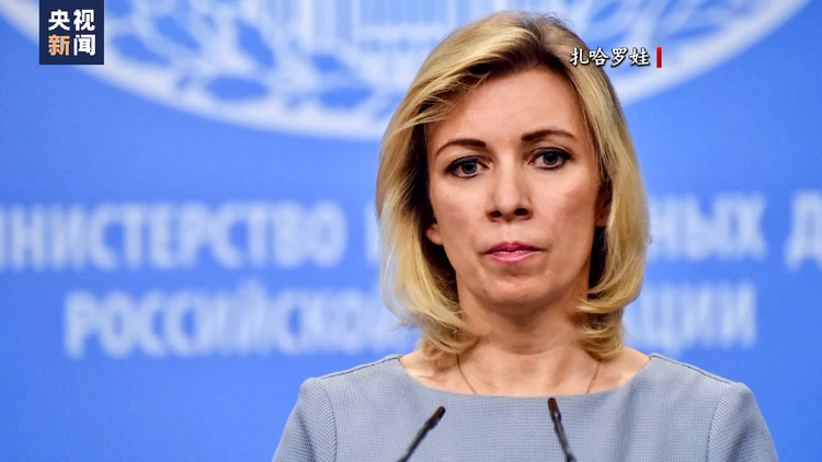 匈牙利防长：依靠武器无法结束俄乌冲突