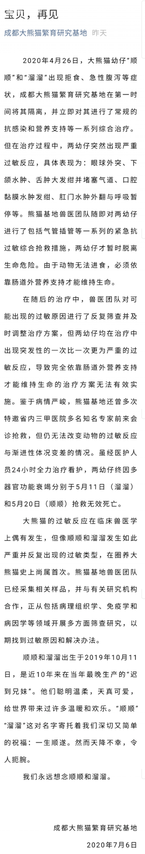 大熊猫|大熊猫幼仔“顺顺““溜溜”死亡 出生仅七个月
