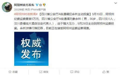 四川省公安厅|四川省公安厅A级通辑犯余林迫于强大压力主动投案