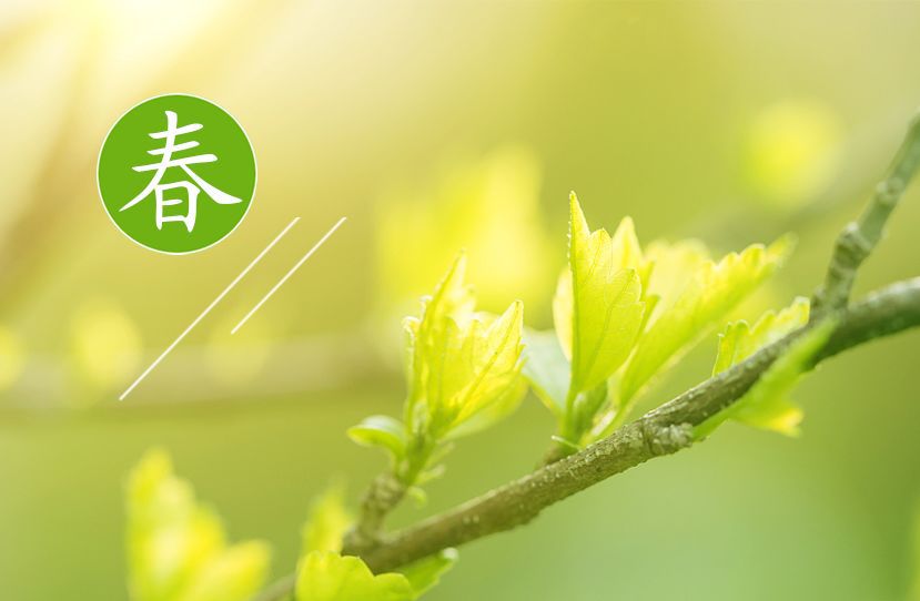 春日将至,带孩子一起来玩这些春天专属的飞花令,请接招!