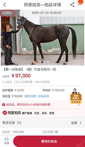 汗血宝马扬州9.73万元法拍汗血宝马，近5000人围观但没人买