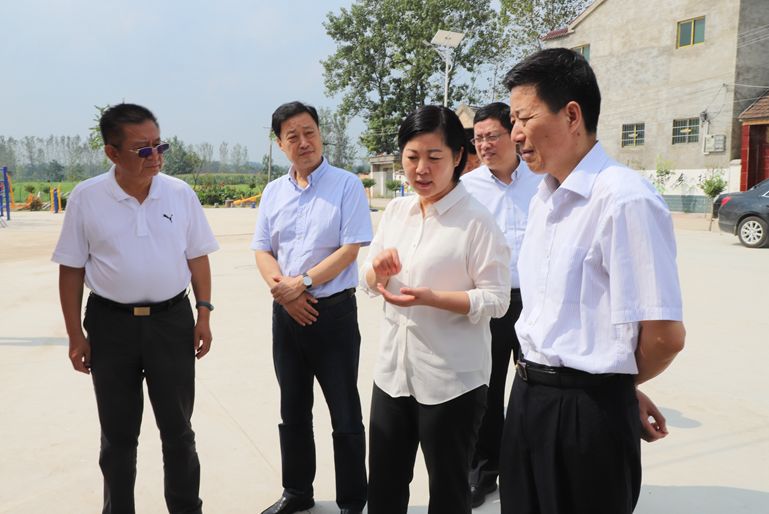 会前,王云彪一行还到汲冢镇邢营,谢寨等行政村就农村基础设施建设