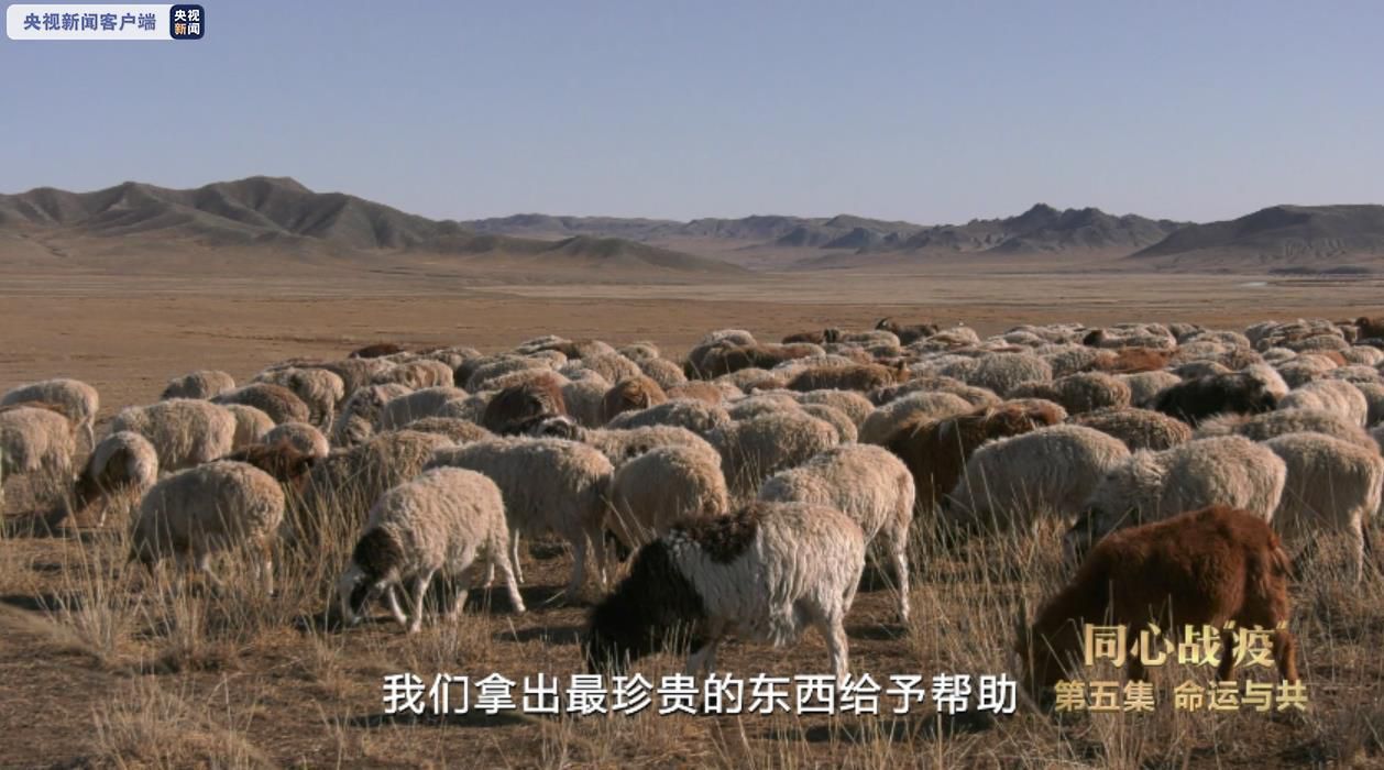 蒙古国|同心战“疫”丨速览第五集《命运与共》