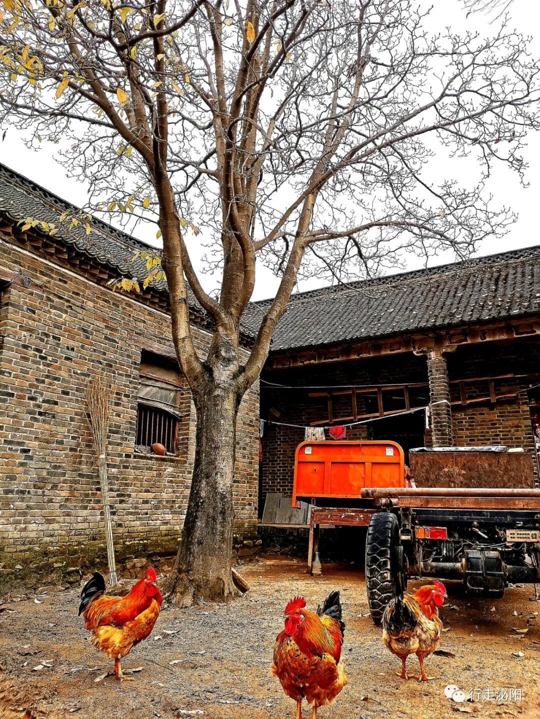 泌阳东北部深山区藏着一处世外桃源