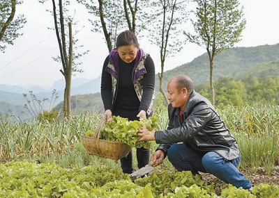 |农家乐里农家乐（决胜全面小康·小家看小康⑿）