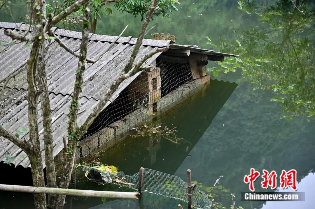 『』怪事！明明最近没下雨，广西这小山村咋被大水淹了？