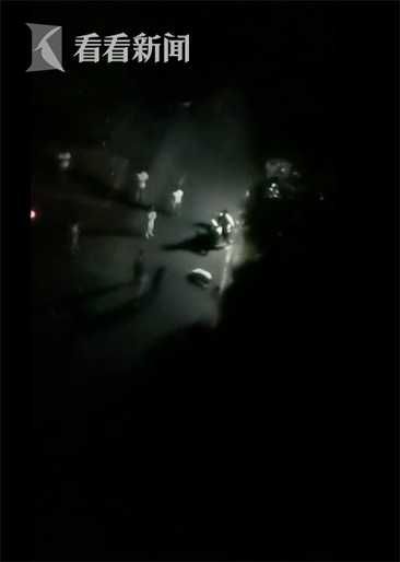 狗|遛狗不栓绳！大狗咬了小狗，主人也直接上嘴咬人