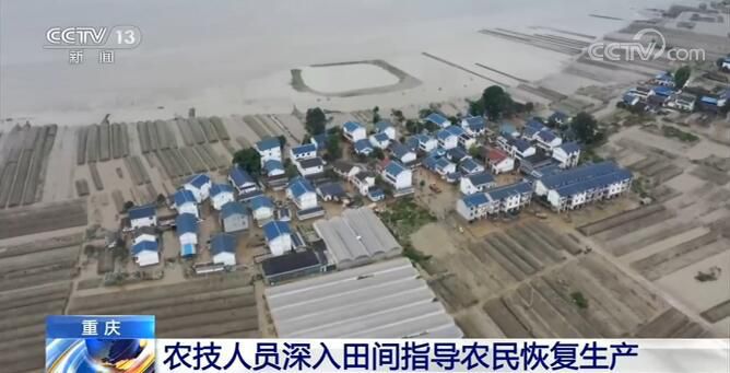 蔬菜|重庆：农技人员深入田间指导农民恢复生产