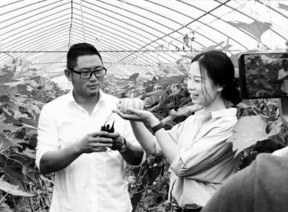 互联网电商直播电商促媒体重构盈利模式