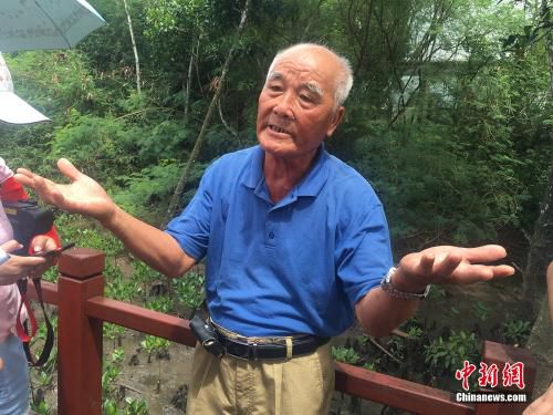 图为当地居民黄宏远讲述自己的护林往事。<a target='_blank' href='http://www.chinanews.com/' >中新网</a>记者 马学玲 摄
