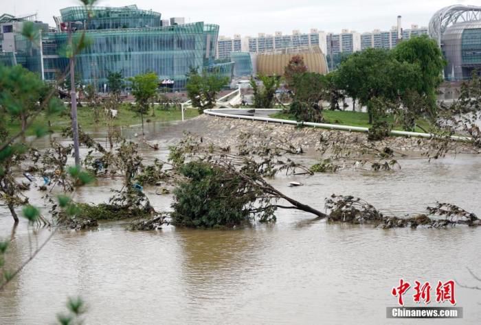 国际社会|韩国暴雨已造成33死9失踪 本周或追加指定特别灾区