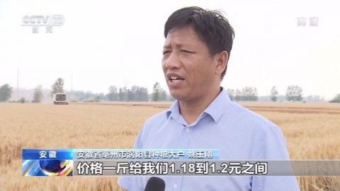 小麦农业农村部：我国麦收进度近六成 品质好于常年