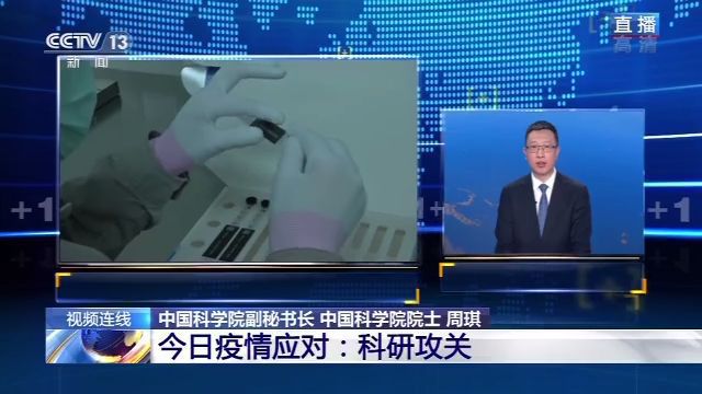 「问题疫苗」新冠特效药还有多远?人人都要打疫苗吗？院士回应