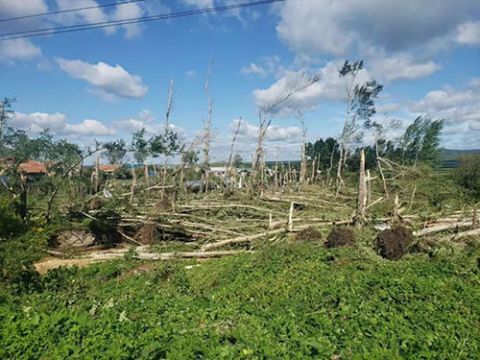 庄稼|黑龙江密山一地遭龙卷风袭击！68户民房受损，1590亩庄稼受灾