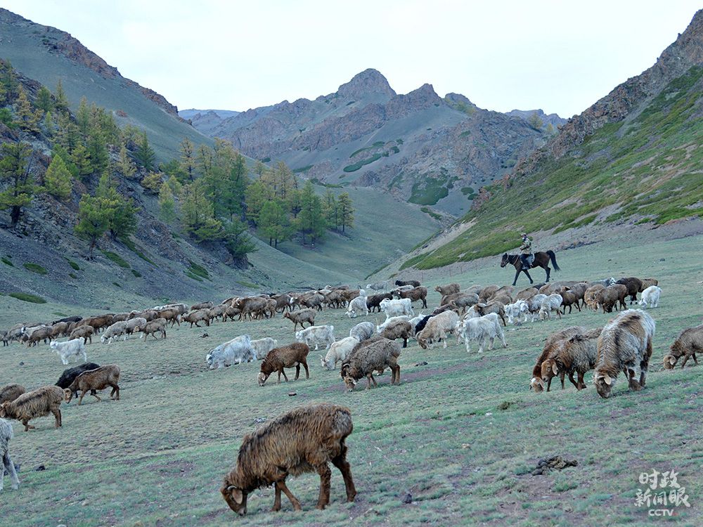 第二次中央新疆工作座谈会|时政新闻眼丨第三次新疆座谈会，习近平这样阐释新时代党的治疆方略