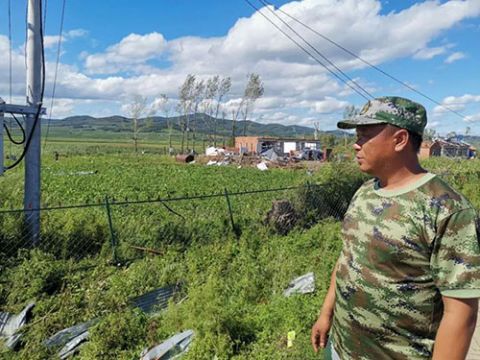 庄稼|黑龙江密山一地遭龙卷风袭击！68户民房受损，1590亩庄稼受灾