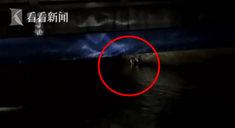|为逃追捕小偷跳河钻入下水道：我不能上去，丢人