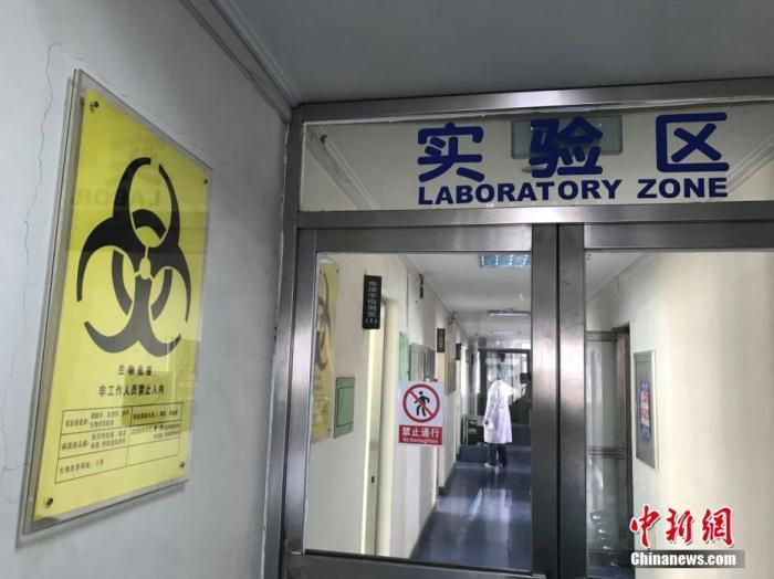资料图：核酸检测实验室。 <a target='_blank' href='http://www.chinanews.com/'>中新社</a>记者 宫旭 摄

