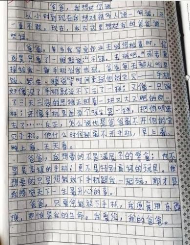 小智(化名)的作文感动了无数网友 