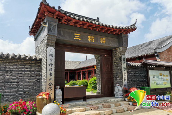 李林森|中国人的故事丨“猪倌”书记李林森：做农产品中的“爱马仕”