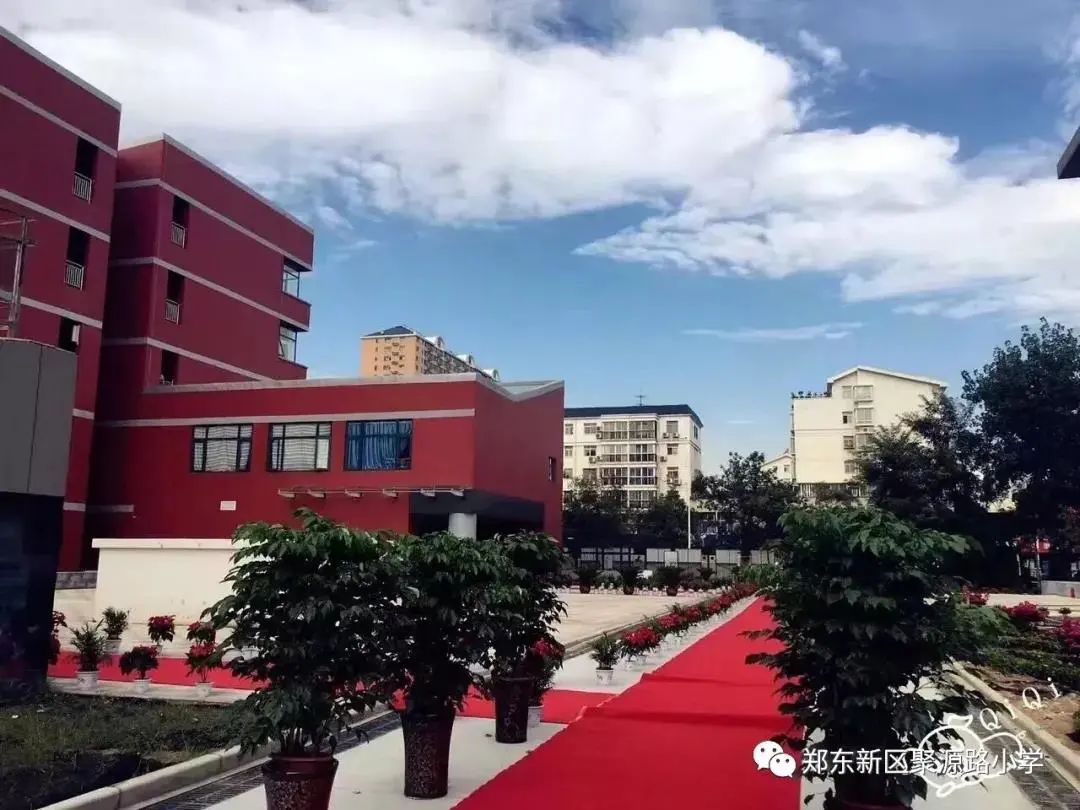 校园动态 郑东新区聚源路小学年招聘优秀教师公告 大河号 大河网