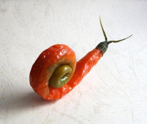 蔬菜|丝瓜熊猫、菜叶鸵鸟……河南这位买菜大爷用蔬菜创造了“动物世界”