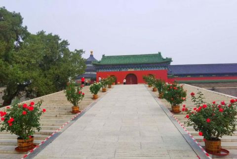 天坛|视点｜节日主题花坛落成天坛公园花团锦簇迎国庆