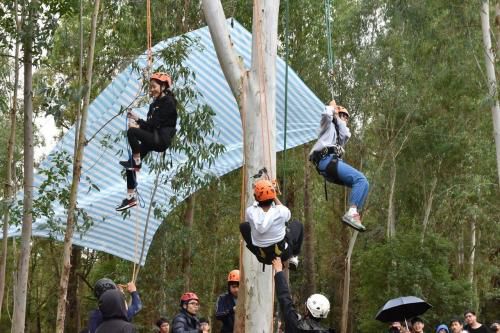 没爬过树不知敬畏大自然？台湾高校教学生攀树