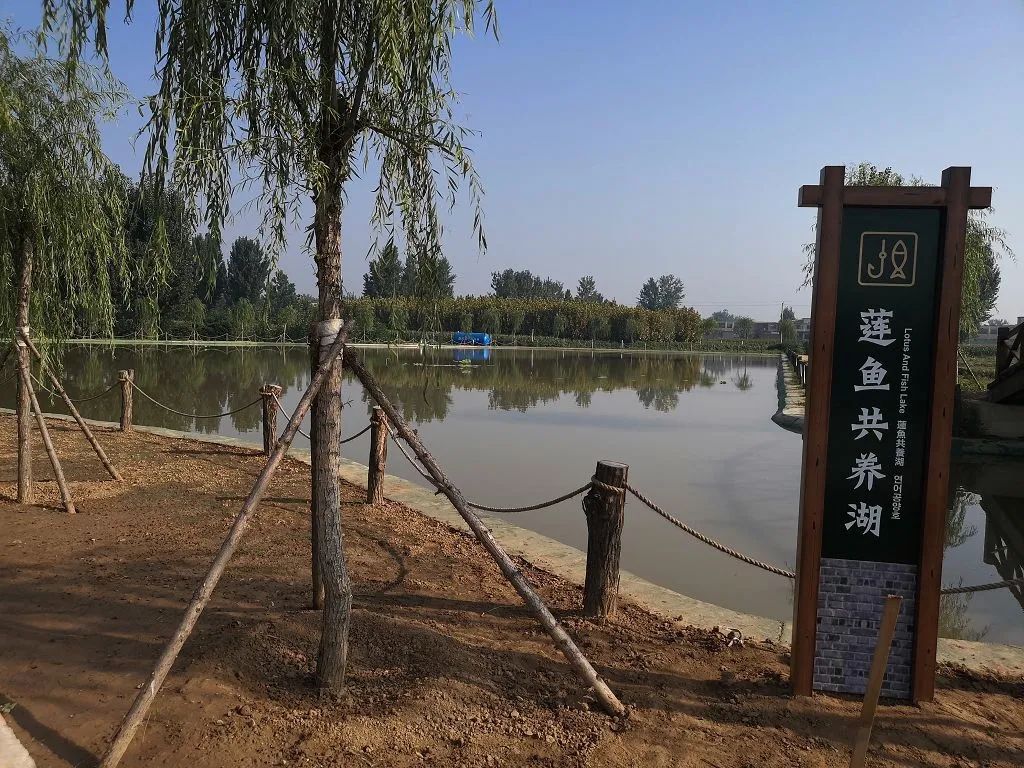 安阳东湖农场小镇门票图片