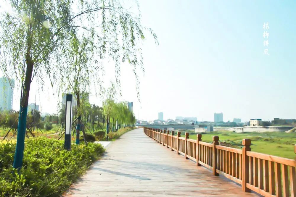 开园在即方城三河一廊之阳城释之凤瑞龙泉4大公园项目真容初露