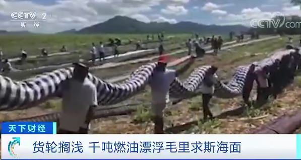 美丽岛|紧急！1000多吨燃油泄漏，蓝湾变黑湾！昔日美丽岛国面临海洋污染危机！