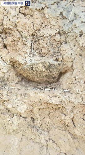 文化陕西省白水县杜康沟发现4500多年前龙山时期文化遗存