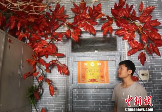 甘肃高校大学生装扮个性宿舍 渔网树藤“解”乡愁