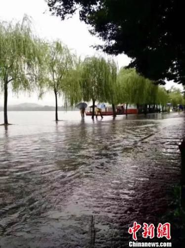 网传不实图片。 杭州市西湖水域管理处供图 网传不实图片。 杭州市西湖水域管理处供图