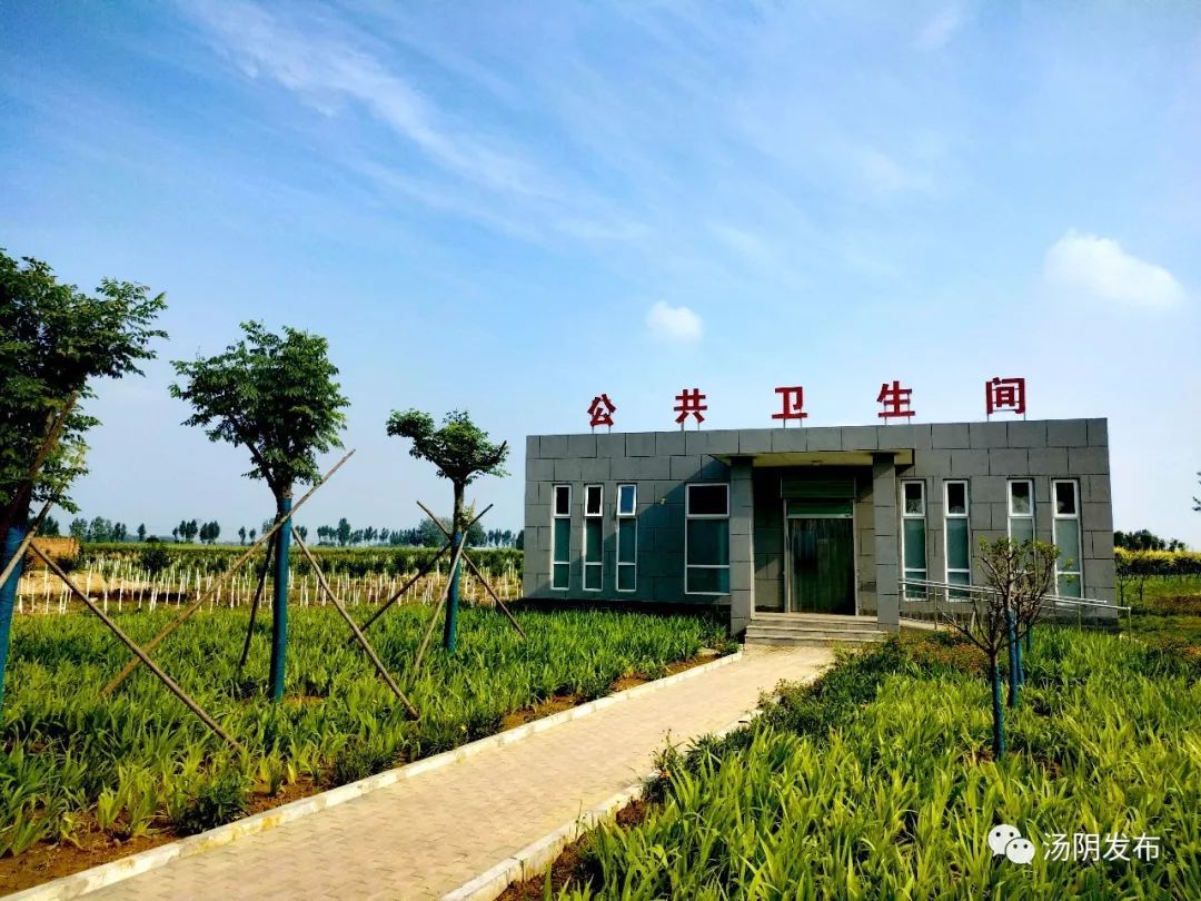 汤阴这件小事入选国字号 大河号 大河网