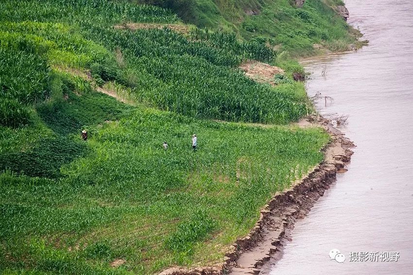 南段村人口_淝南镇各村人口(3)